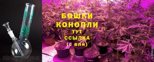 шишки Армянск