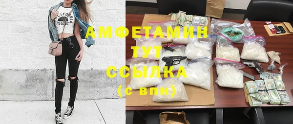 шишки Армянск