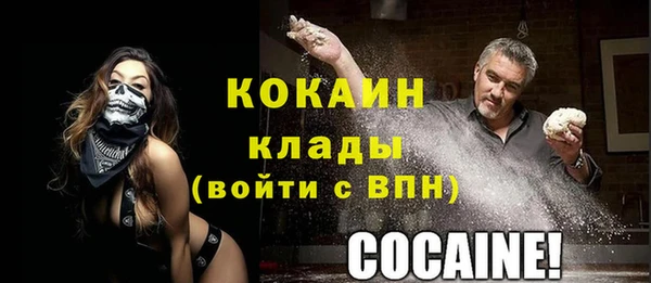 шишки Армянск
