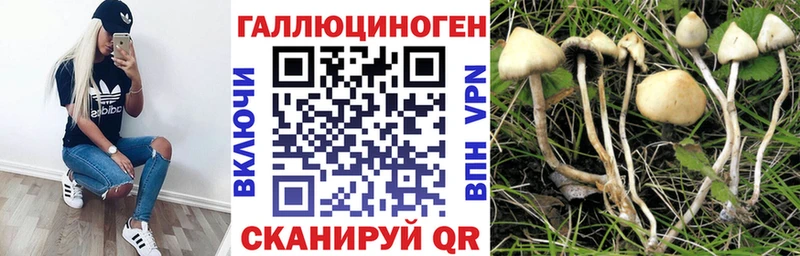 Псилоцибиновые грибы прущие грибы  Рославль 